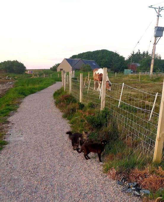 Isla'S Cottage Stornoway  Zewnętrze zdjęcie